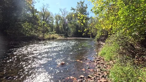 Creek Stock Footage 287491713