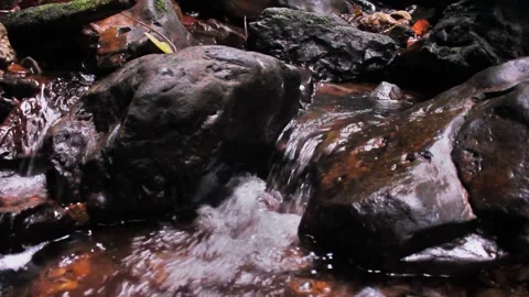 The Creek Stock Footage 312855427