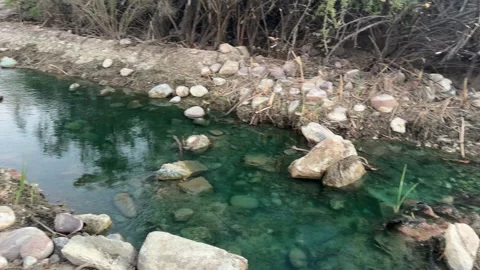 Creek Stock Footage 337269298