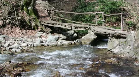 Creek in the Forest Video stock 21904396