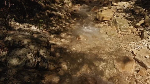 Creek in the forest Stock Footage 100988796