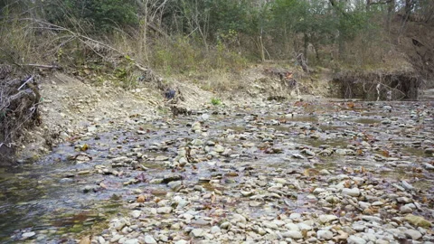 A creek in the forest. Stock Footage 145700064