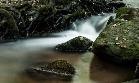 Creek in the forest Stock Photos