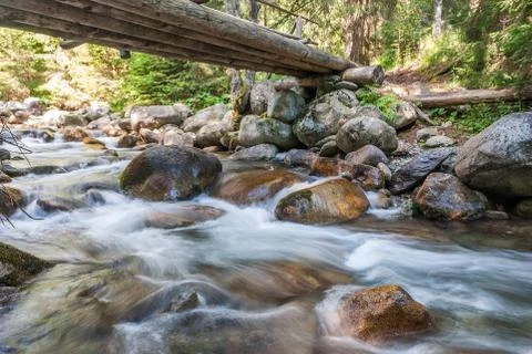 Creek in the forest Stock Photos