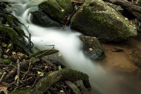 Creek in the forest Stock Photos