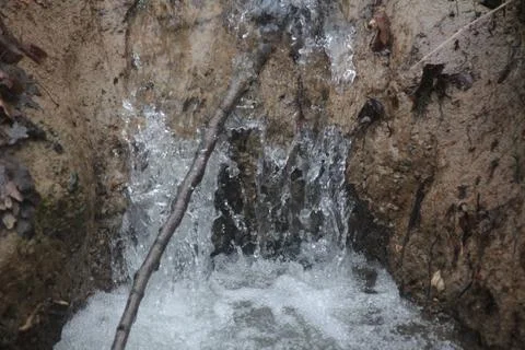 Creek in forest Foto stock