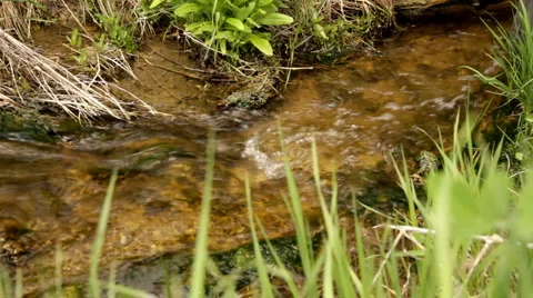 Creek Full HD2 Stock Footage 5506029