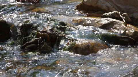 A Creek gently flows over a rocky bed Video stock 40344309
