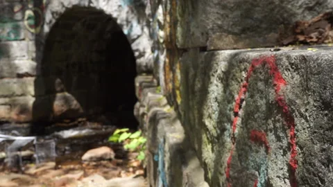 CREEK GRAFFITI Stock Footage 194453210