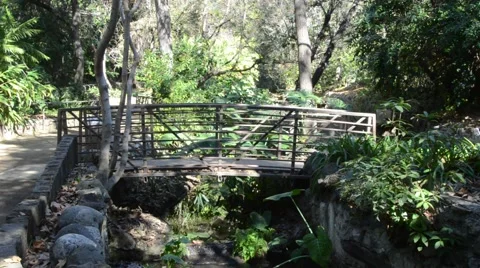 Creek in Griffith Park Stock Footage 45989992