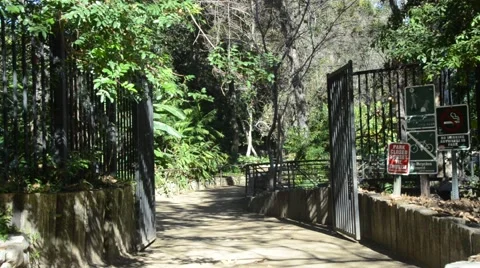 Creek in Griffith Park Stock Footage 45990122