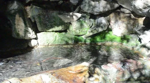 Creek in Griffith Park Stock Footage 45990792