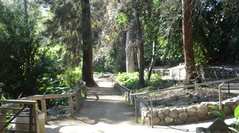 Creek in Griffith Park Stock Footage 45990849