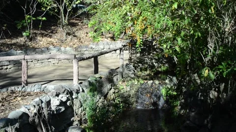Creek in Griffith Park Stock Footage 45990957