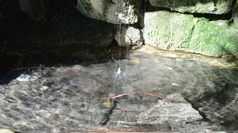 Creek in Griffith Park Stock Footage 45991072