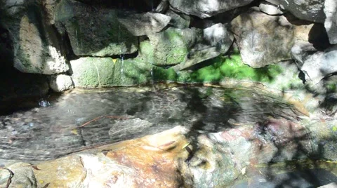 Creek in Griffith Park Stock Footage 45991306