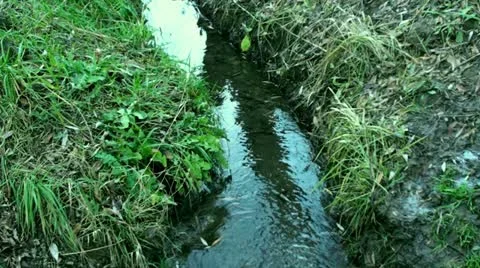 CREEK HD Stock Footage