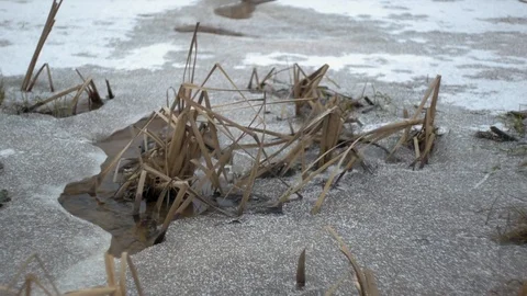 Creek in ice Stock Footage 123361968