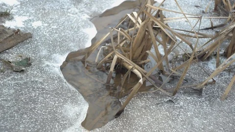 Creek in ice Stock Footage 123362045