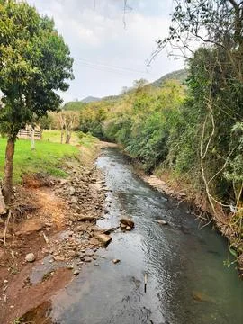 Creek in the interior Stock Photos