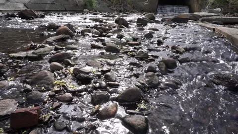 CREEK LEVEL Stock Footage 194383903