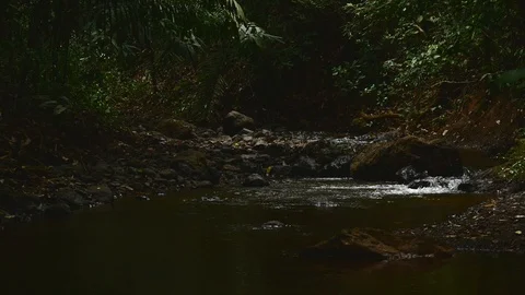 Creek meandering Stock Footage 126726011