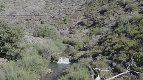 Creek on a mediterranean mountain Stock Footage 237339980