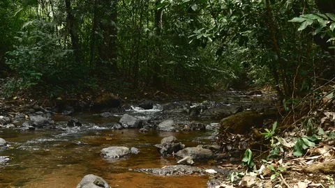 Creek medium Stock Footage 126726081