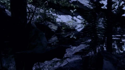 A CREEK IN MOONLIGHT IN THE FOREST Stock Footage 239111167