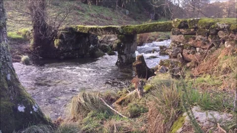 Creek in a mountain with old stone bridge Stock Footage 294509237