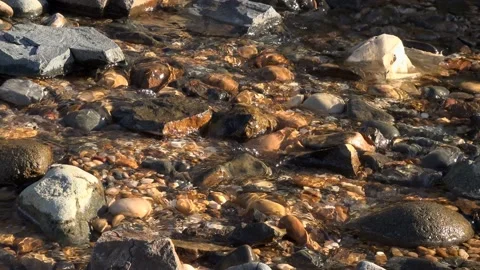 Creek in the mountains close-up Video stock 130952104