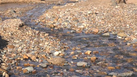 Creek in the mountains close-up Stock Footage 131176015