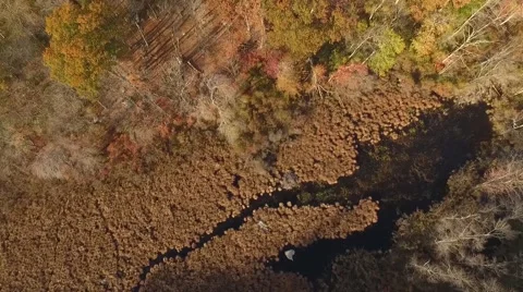 Creek in mountains Stock Footage 69071049