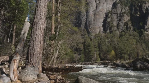 Creek In The Mountains Stock Footage 92315635