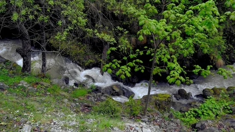 Creek in the mountains Stock Footage 120204881