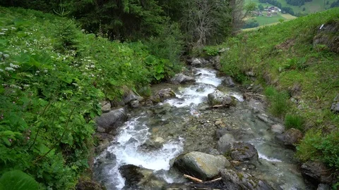 Creek or river flow in mountain Stock Footage 84854071