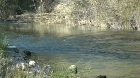 Creek or River Stock Footage 10568072