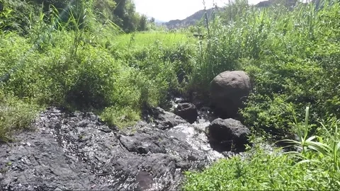 Creek Or Spring Flows On The Rocky Mountain, Banaue, Luzon, Philippines Stock Footage 236222118