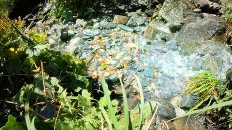 Creek or spring with small waterfalls in mountain ridge forest - loop video Stock Footage 239367449