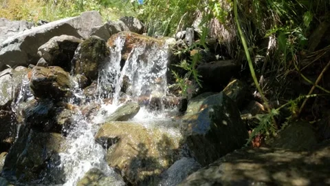 Creek or spring with tiny waterfalls in mountain ridge forest - loop video Video stock 244475939