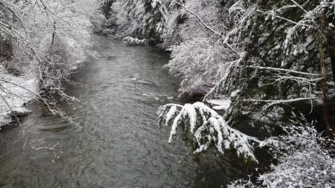 Creek pan Stock Footage 106142913