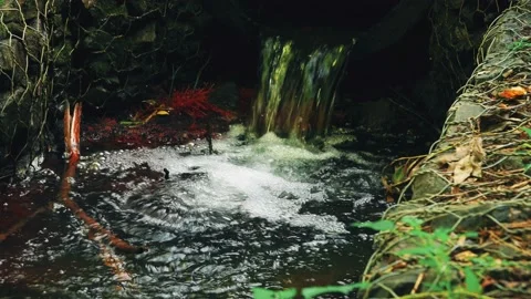 Creek in the park Stock Footage 93566508