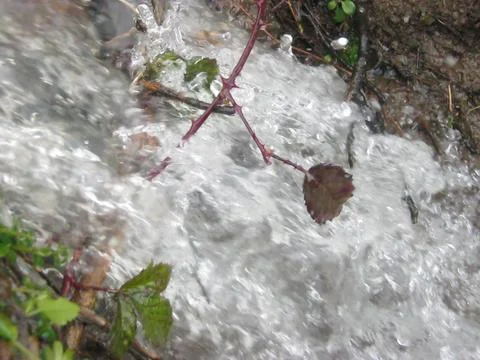 The creek Fotos Stock
