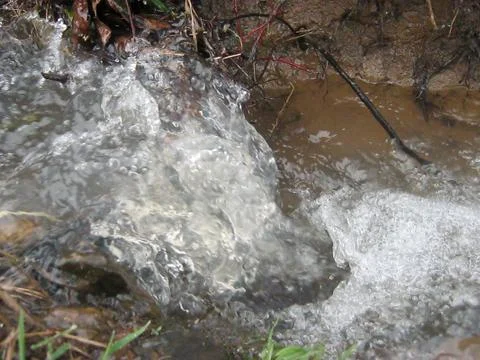 The creek 写真素材