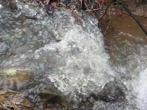 The creek Stock Photos