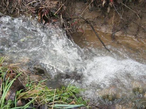 The creek Stock Photos