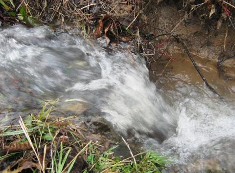 The creek 写真素材