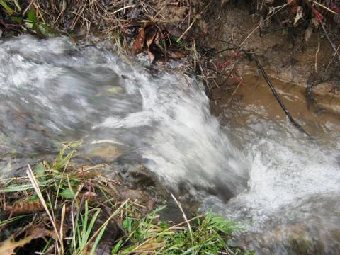 The creek Stock Photos