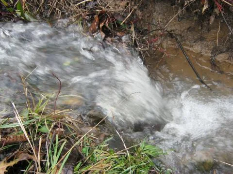 The creek Photos