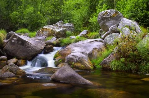Creek Stock Photos